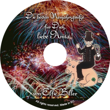 Persönliche Glückwunsch-CD-Neujahrsgrüße